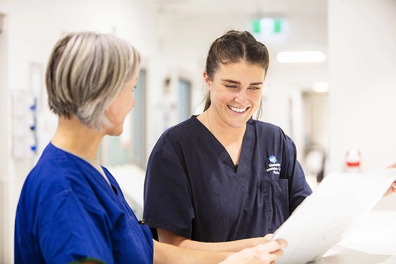 two nurses sharing information 